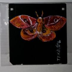 mariposa nocturna - papalotl